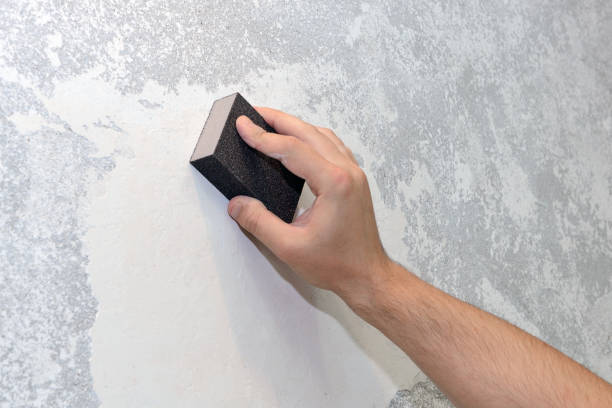 Best Crawl Space Mold Remediation  in Plain City, UT
