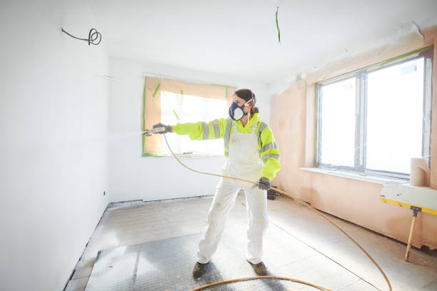  Plain City, UT Mold Removal Pros