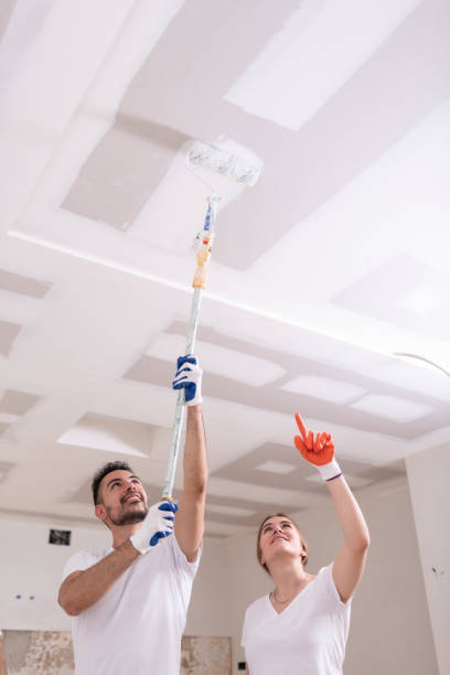 Plain City, UT Mold Removal Company