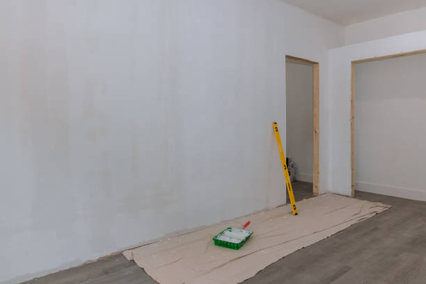 Best Mold Odor Removal Services  in Plain City, UT