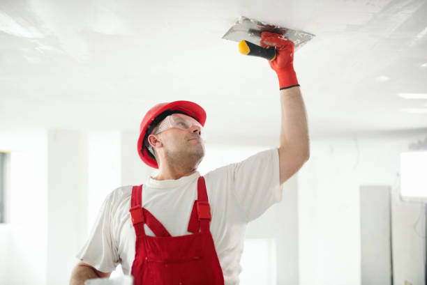 Best Mold Removal for HVAC Installations  in Plain City, UT