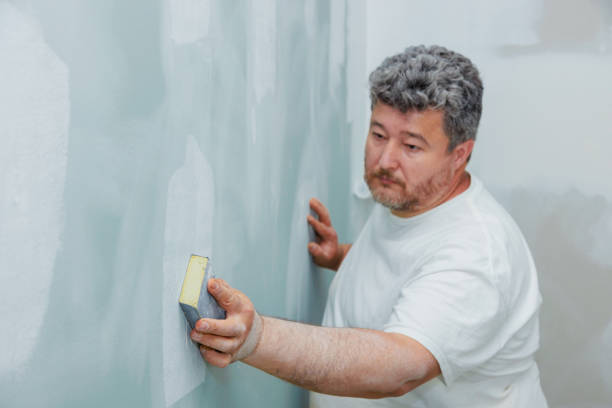 Best Industrial Mold Remediation  in Plain City, UT