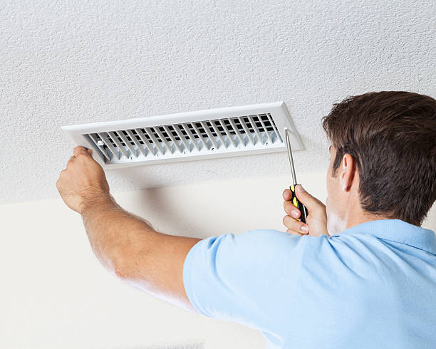 Best Forensic Mold Investigation  in Plain City, UT