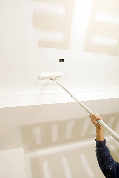 Mold Remediation for Vacation Homes in Plain City, UT